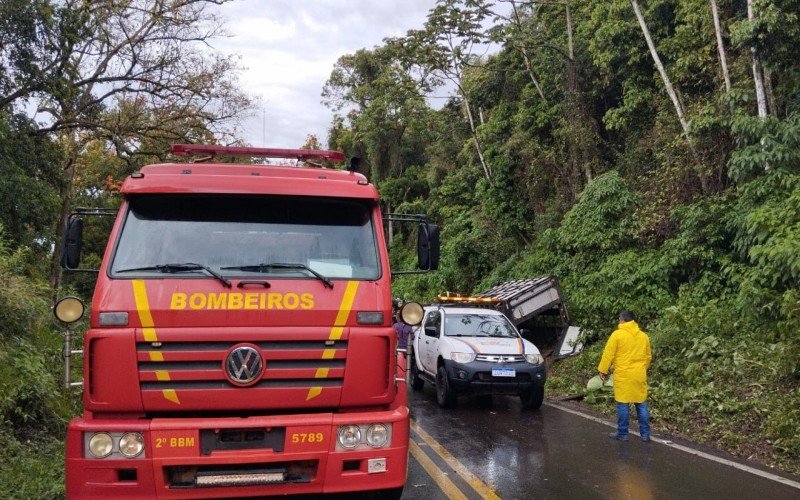RS-020: CaminhÃ£o que transportava bois vivos tomba e rodovia Ã© bloqueada apÃ³s animais ficarem pela pista