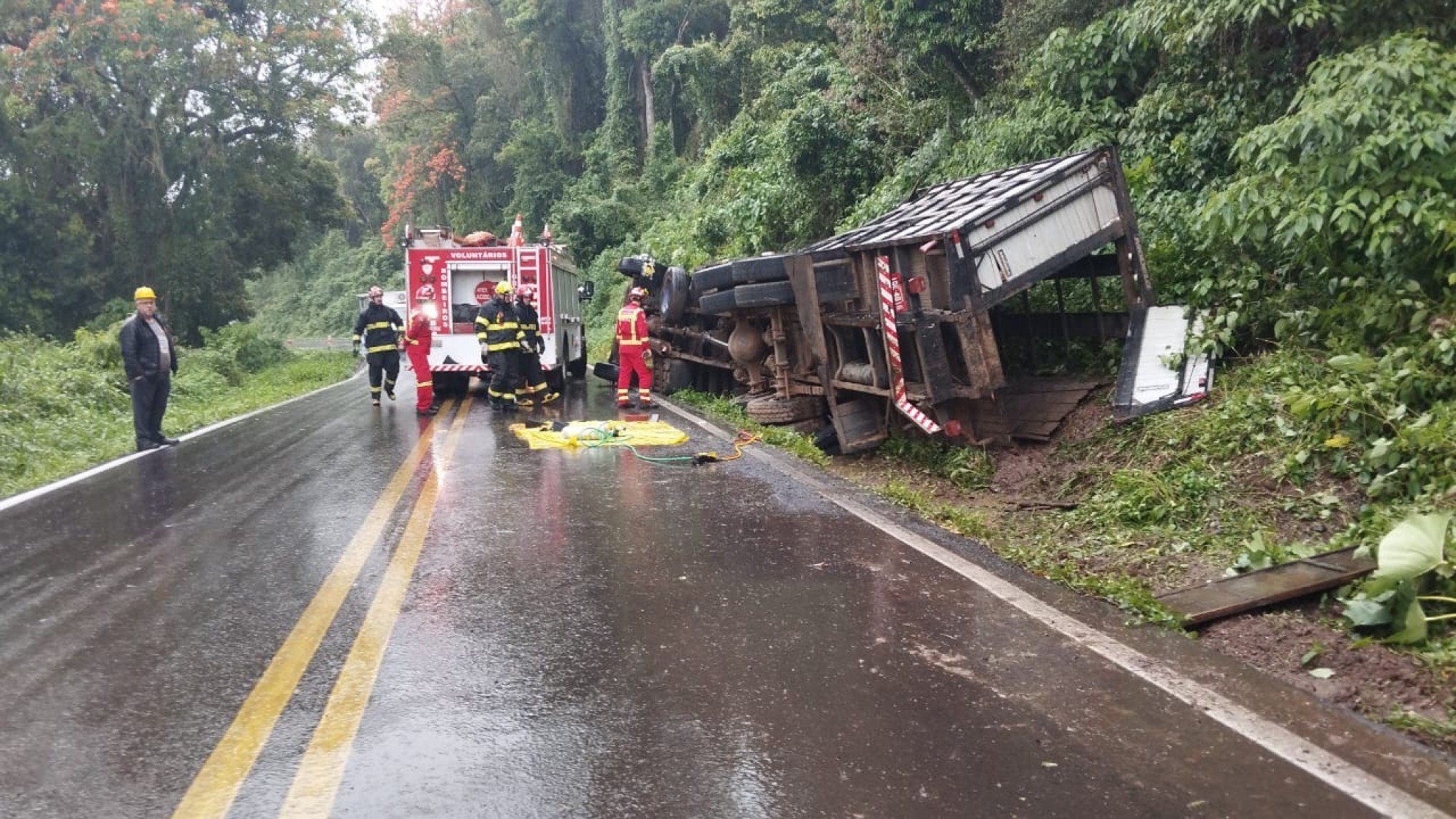 RS-020: Caminhão que transportava bois vivos tomba e rodovia é bloqueada após animais ficarem pela pista