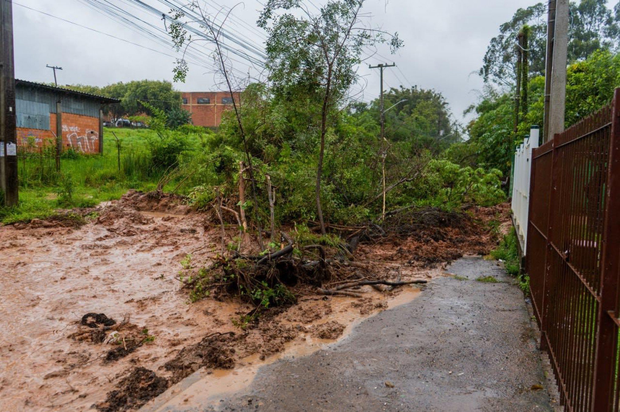 Chuva provoca queda de árvores, interdita ruas e causa transtornos na região
