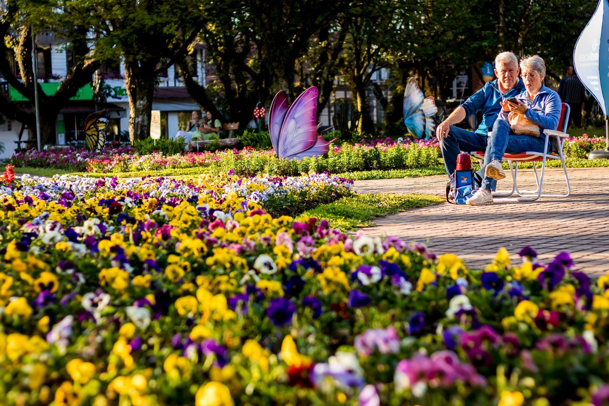 Top 5 das flores: Cidades da região lideram lista de destinos turísticos mais floridos