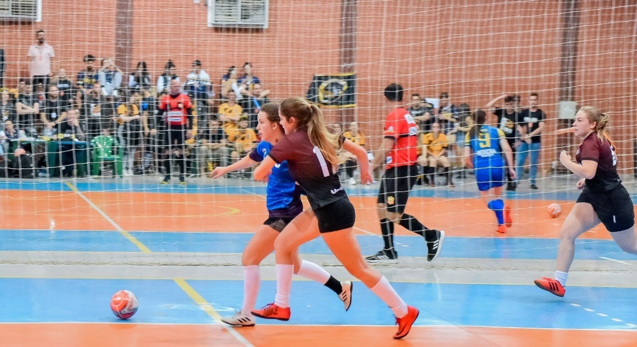 Fase final do jogo Quero Ser um Universitário acontece neste final de  semana - Acontecendo Aqui