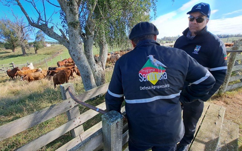 Fiscalização Programa Sentinela - Agronegócio de setembro  | Jornal NH