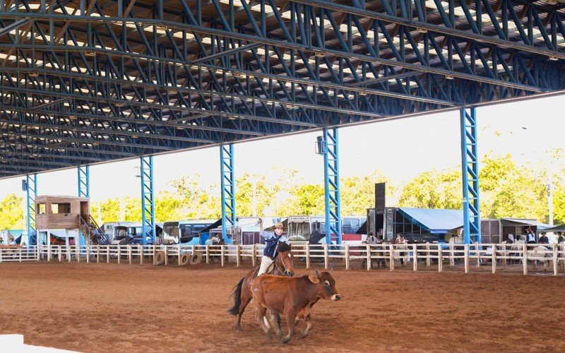 Rodeio Campeiro é destaque no Parque do Gaúcho