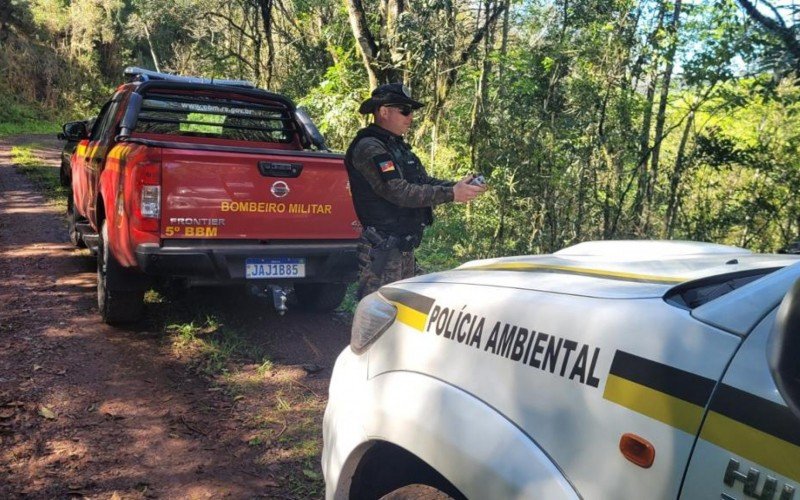 Cachorro é resgatado após cair de penhasco e ficar uma semana preso em área de difícil acesso