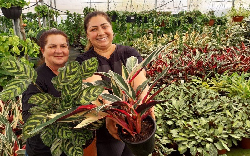 Sirlei Brand e Grasiela Brand da Floricultura do Beto, em Pareci Novo | Jornal NH