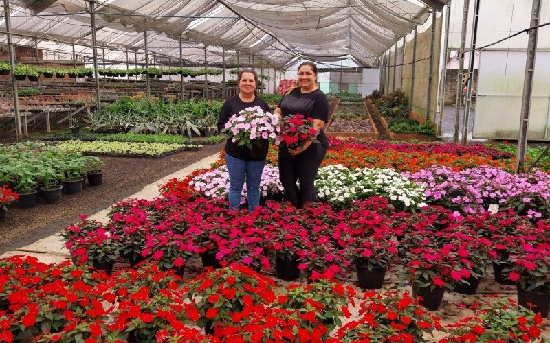 Sirlei Brand e Grasiela Brand da Floricultura do Beto, em Pareci Novo | Jornal NH