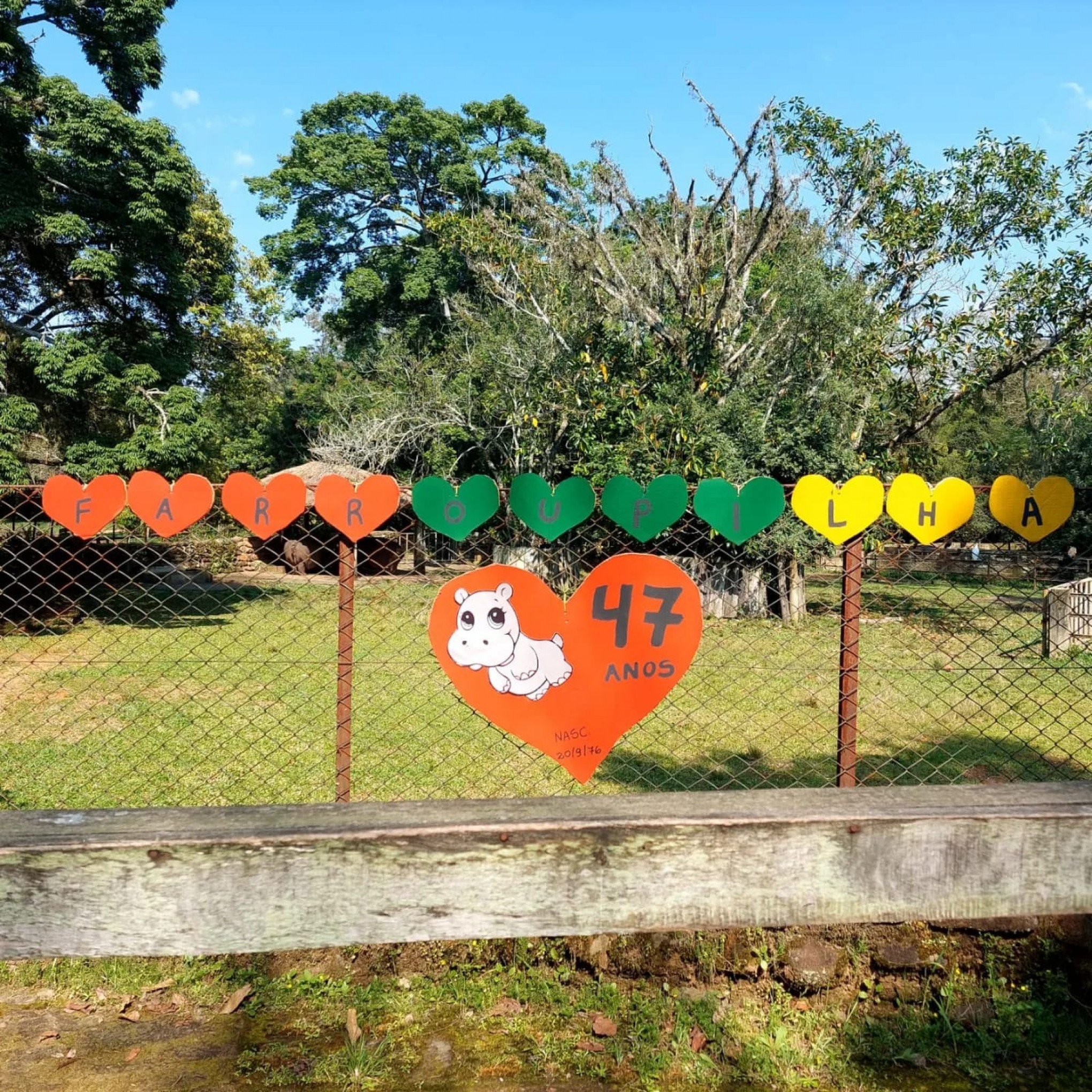 AniversÃ¡rio da hipopÃ³tamo fÃªmea Farroupilha foi celebrado no zoo de Sapucaia 