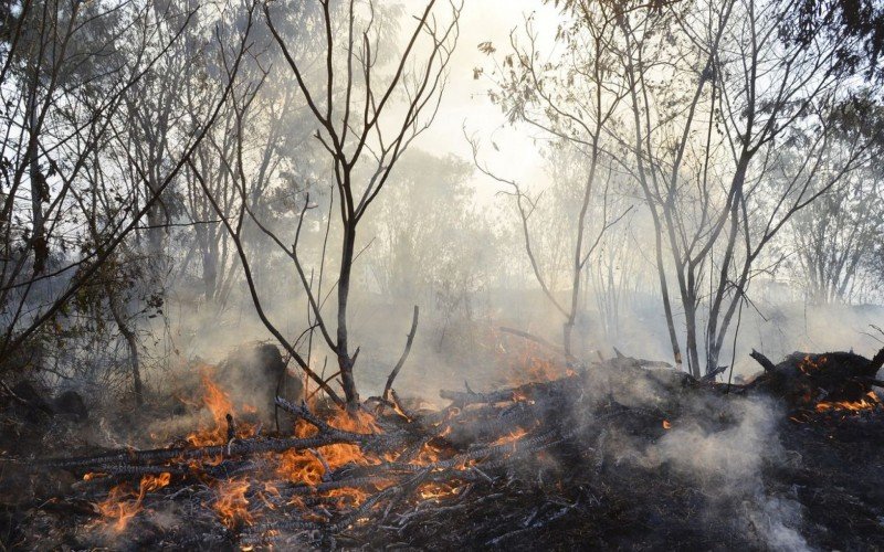 Fumaça de queimadas na Amazônia chegam ao Rio Grande do Sul | Jornal NH