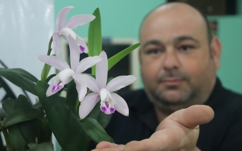 Sinval Trovo mostra uma das plantas em exposição