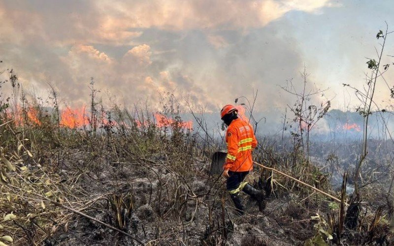 Bombeiro tenta combater incêndio na região de Bonito (MS) | Jornal NH