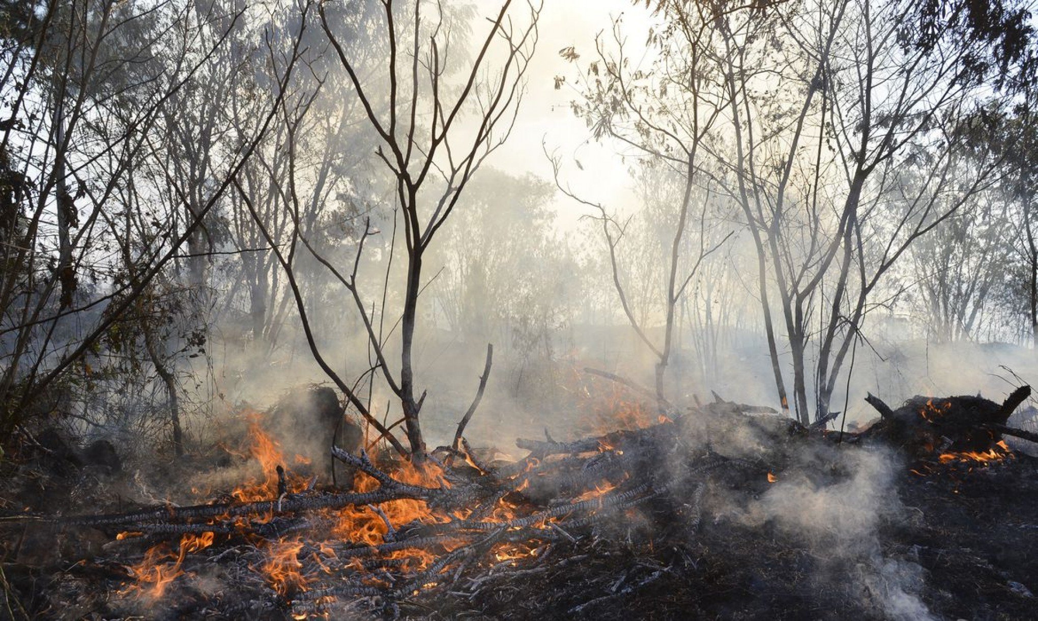 Corredor de fumaça de queimadas da Amazônia alcança o Rio Grande do Sul; veja mapa