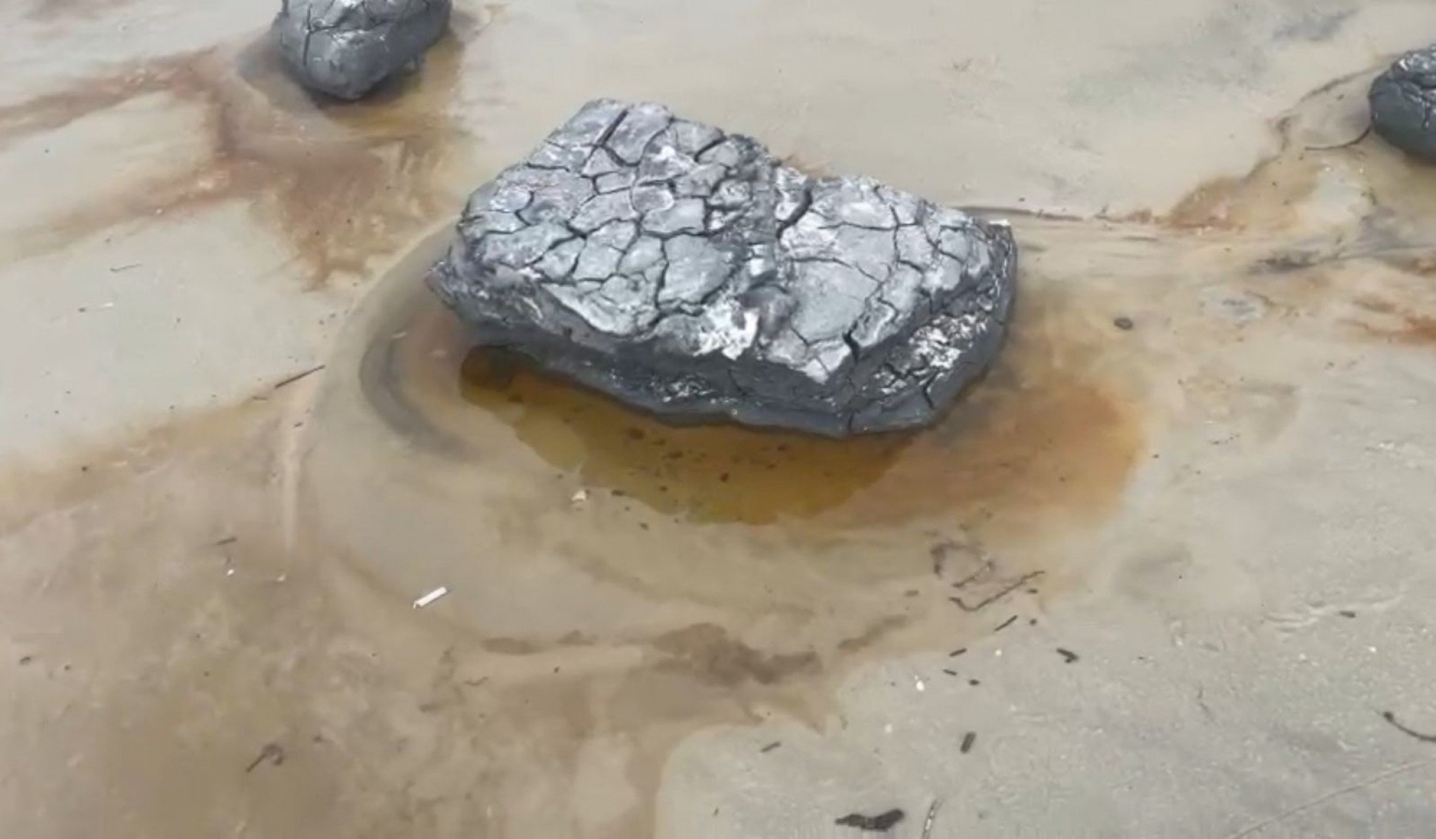 Pedras misteriosas que apareceram no litoral norte são tóxicas? Oceanóloga responde