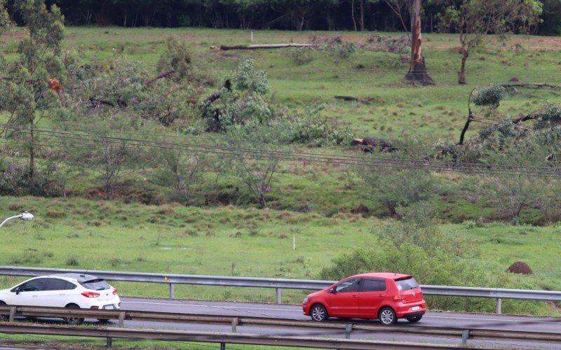 Área do Boulevard Germânia, às margens da BR-116 | Jornal NH