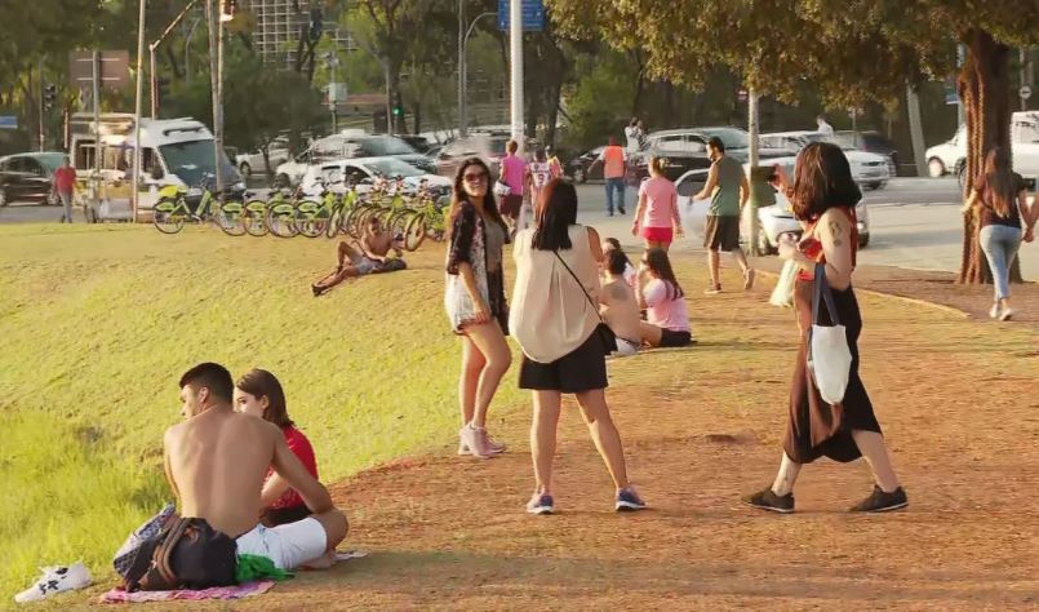 BOLHA DE CALOR: Saiba como cuidar do seu pet em dias muito quentes