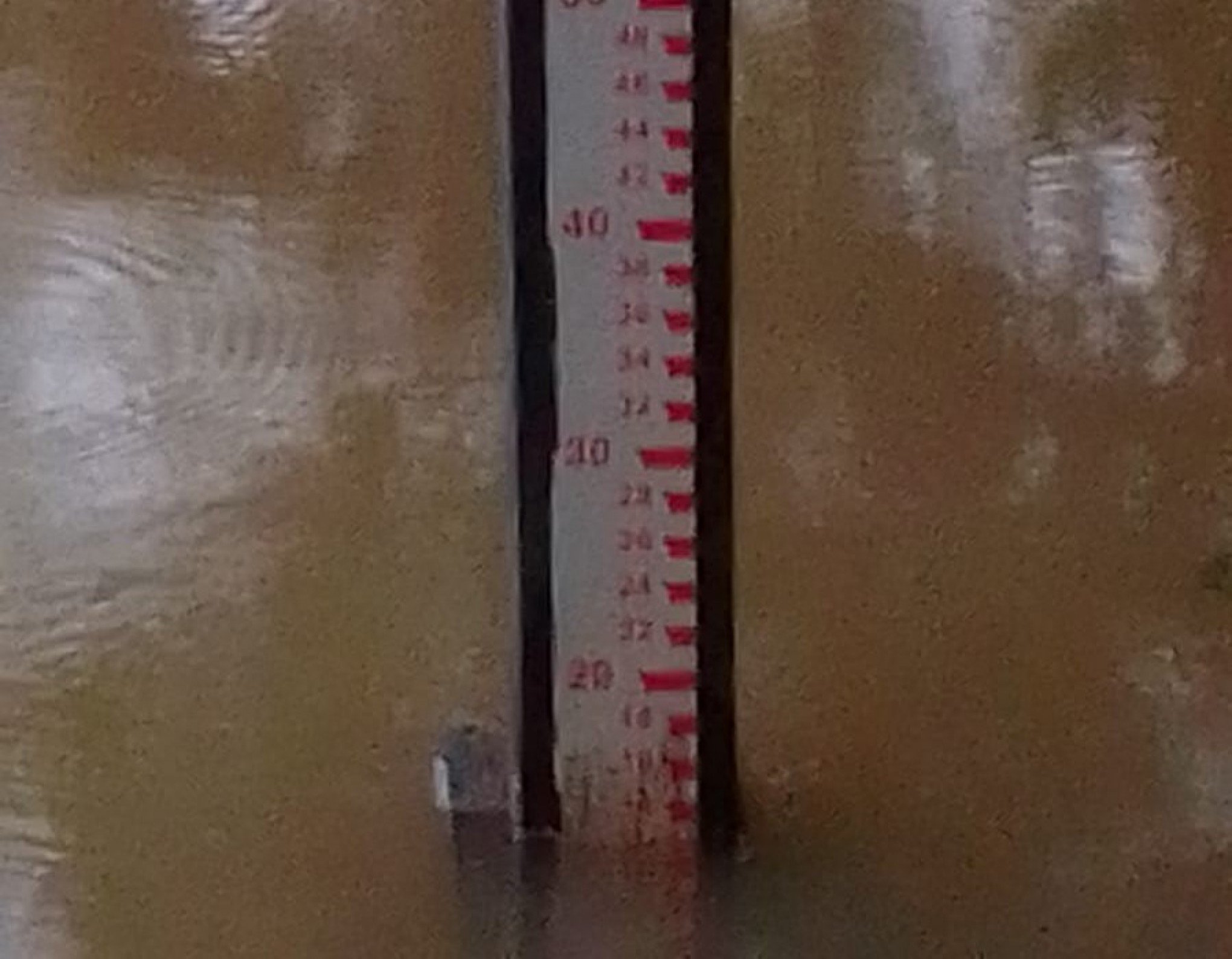 Nível do Rio Caí, em São Sebastião do Caí, estava em 8,12 metros no começo da manhã desta segunda (25) | Jornal NH