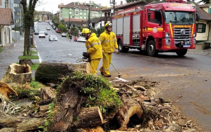 Quedas de árvores foram registradas após chuva intensa em Canela