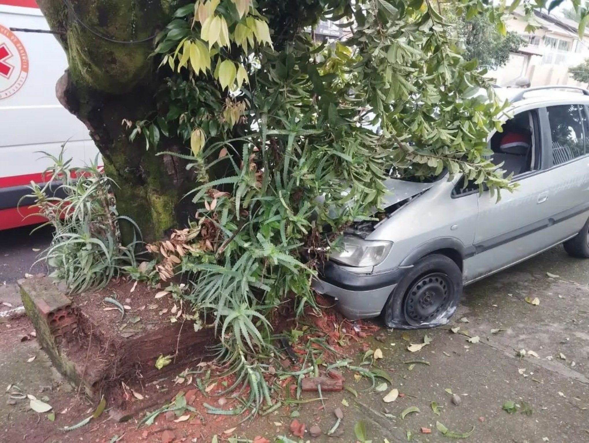 Homem morre após carro bater contra árvore em bairro de Novo Hamburgo