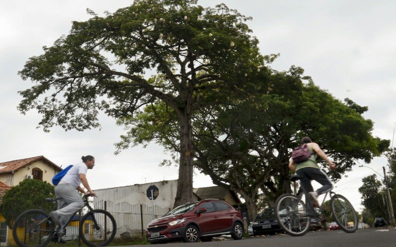 Planejamento para tornar Canoas mais verde 