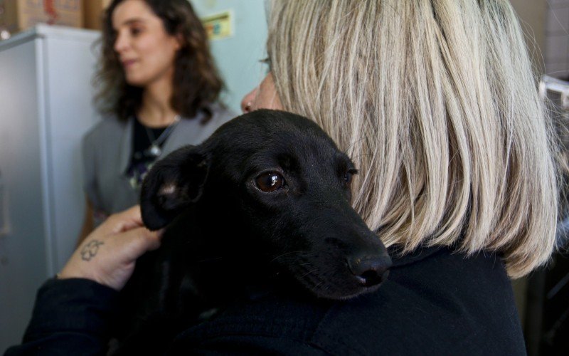  03/10/2023  BEM ESTAR ANIMAL - ADOÃ‡ÃƒO
