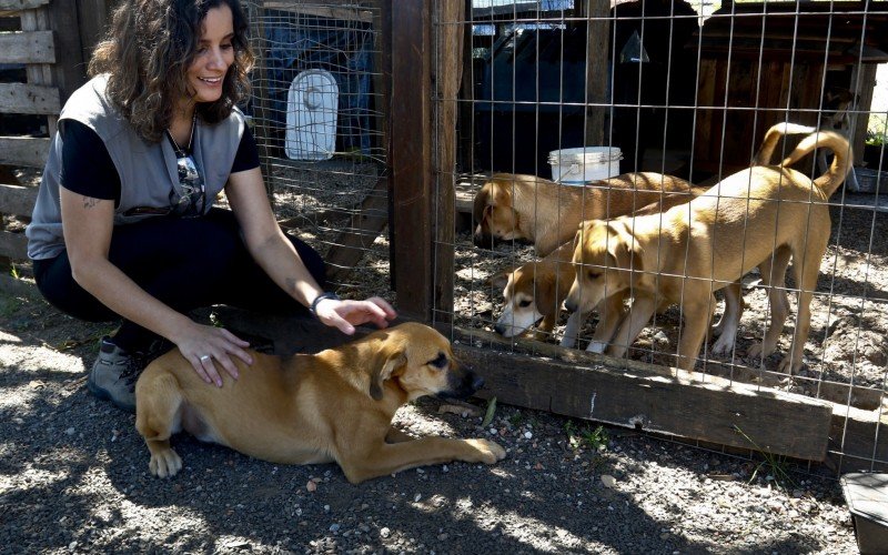  03/10/2023  BEM ESTAR ANIMAL - ADOÃ‡ÃƒO