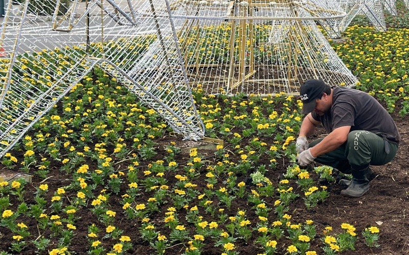 Jardins recebem flores de primavera nas ruas de Gramado 