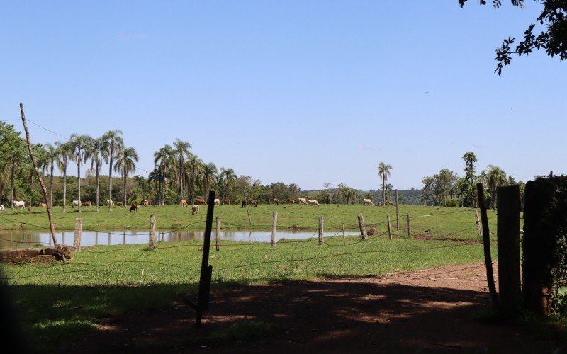 Igrejinha lança roteiro rural para visitação e anuncia aplicativo que ajudará no deslocamento até 11 pontos da cidade