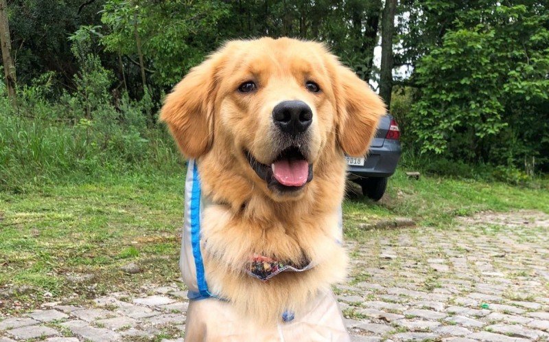 Antônio Armando, de 11 meses, participou | Jornal NH