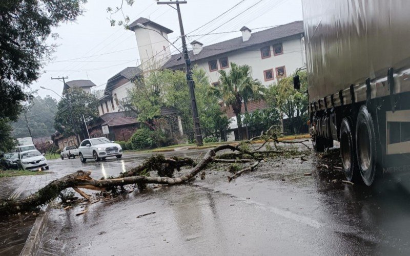 Defesa Civil de Gramado atende ocorrências de destelhamento e queda de árvore