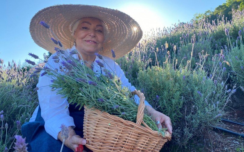 Beatriz Flecha, proprietÃ¡ria do Ai Colli na colheita de lavanda no interior de Gramado