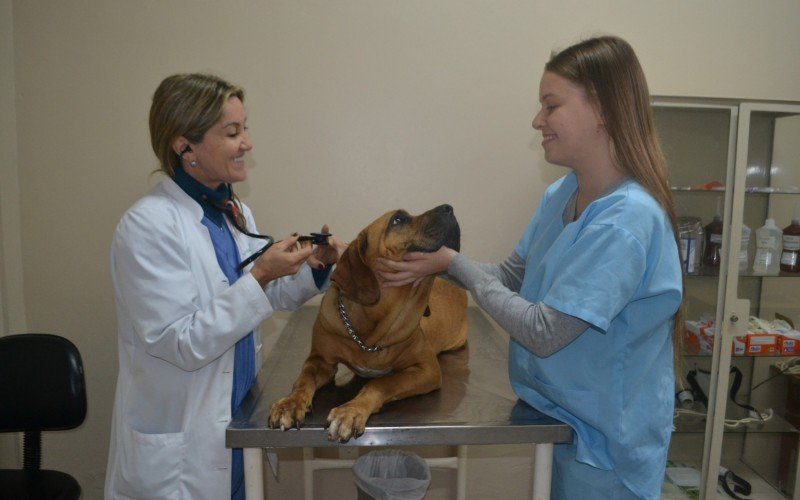 Curso de Medicina Veterinária da Ulbra Canoas | Jornal NH