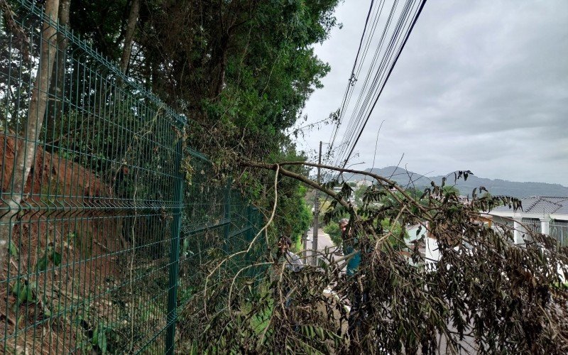 Ãrvores cortadas no ParcÃ£o