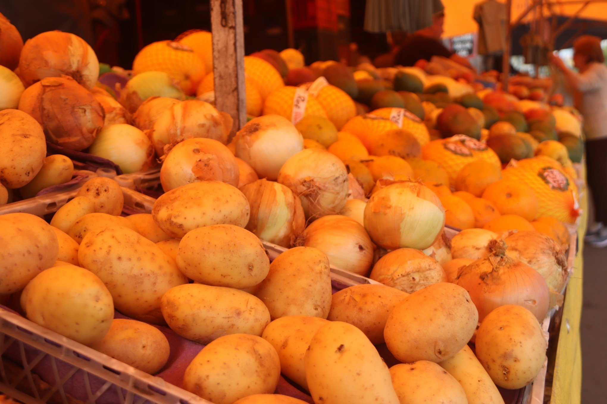 Feira Livre - batata, cebola