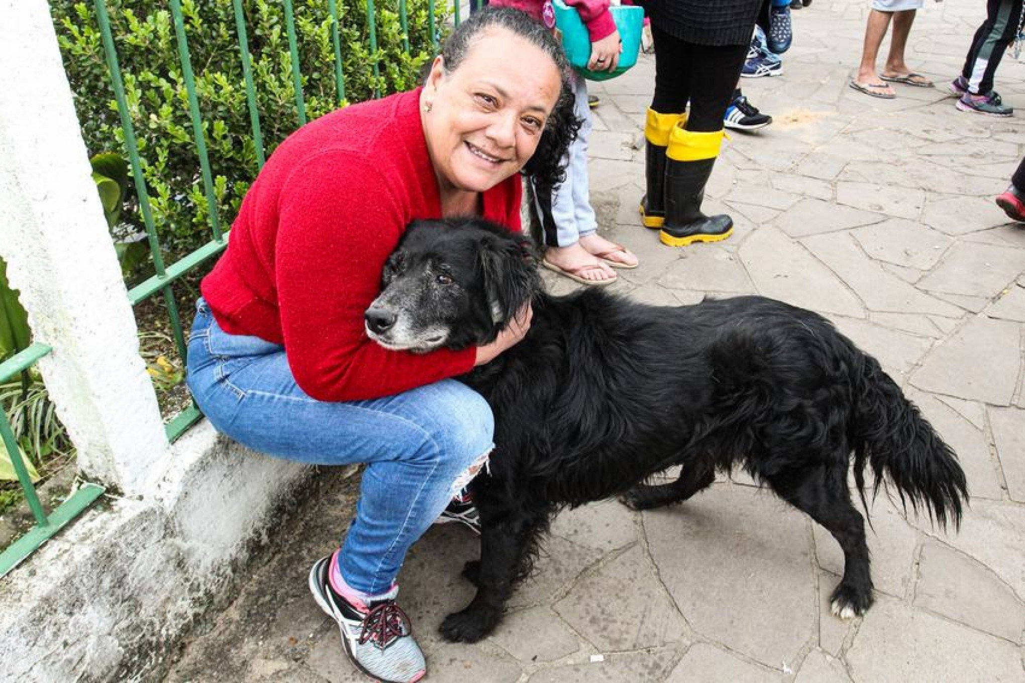 Cachorros resgatados da enchente do Guaíba são devolvidos aos seus tutores em Porto Alegre; veja fotos