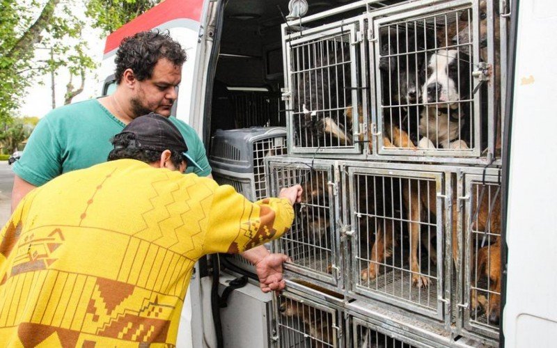 Cachorros resgatados da enchente do GuaÃ­ba sÃ£o devolvidos aos seus tutores em Porto Alegre 
