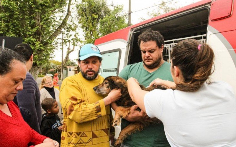 Cachorros resgatados da enchente do GuaÃ­ba sÃ£o devolvidos aos seus tutores em Porto Alegre 
