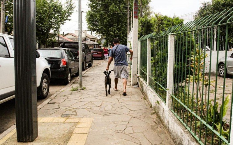 Cachorros resgatados da enchente do GuaÃ­ba sÃ£o devolvidos aos seus tutores em Porto Alegre 
