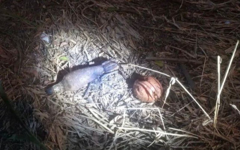 Artefato encontrado na noite de quinta-feira (19) em Nova Santa Rita