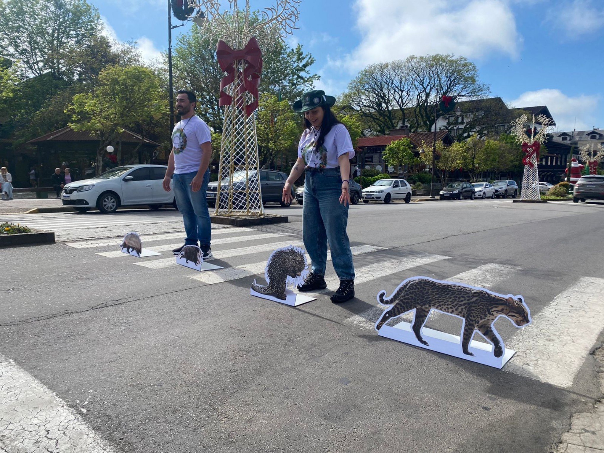 Cuidados com a fauna silvestre são tema de projeto lançado pelo Meio Ambiente de Gramado