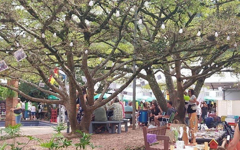 Feira do Livro de Morro Reuter 