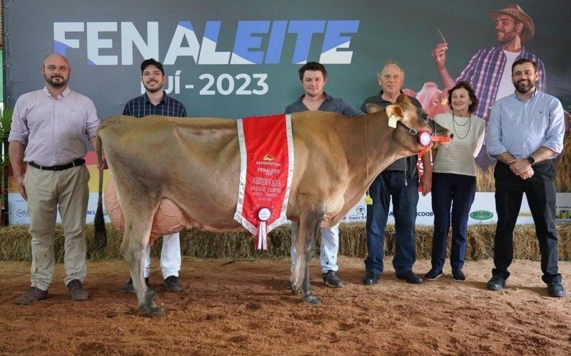 Exemplar da raça jersey foi uma das campeãs no concurso morfológico da Fenaleite | Jornal NH