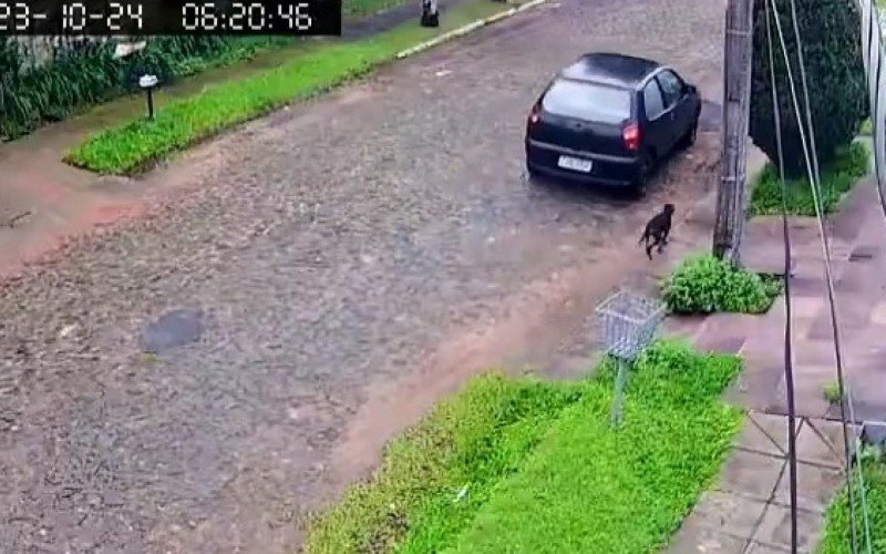 Imagens ajudaram a Polícia Civil a identificar a proprietária do carro, moradora de Sapucaia do Sul; | Jornal NH