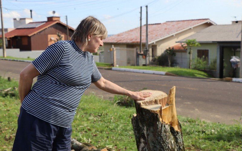 Silvia lamenta o corte de Ã¡rvores