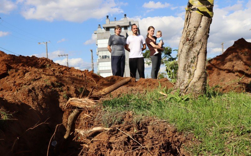 Ãrvore que serÃ¡ transplantada estÃ¡ com as raÃ­zes expostas