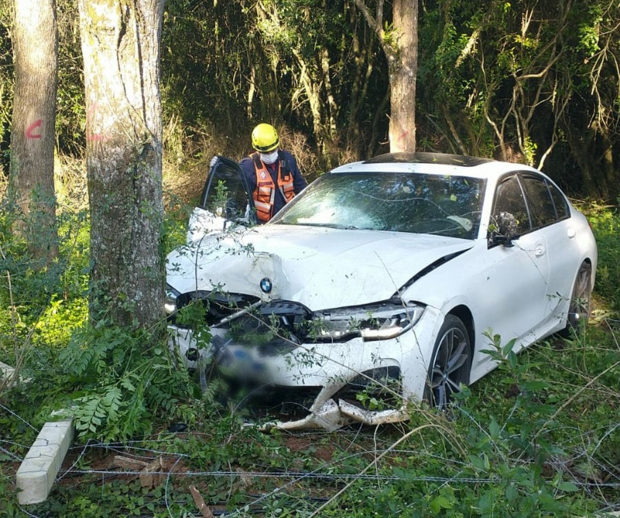 Motorista perde o controle de BMW e colide em árvore na região; veja fotos