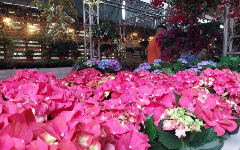16Âª Feira das Flores, em Ivoti, que neste ano terÃ¡ sete dias para os visitantes  conferir de perto os produtos que serÃ£o comercializados.