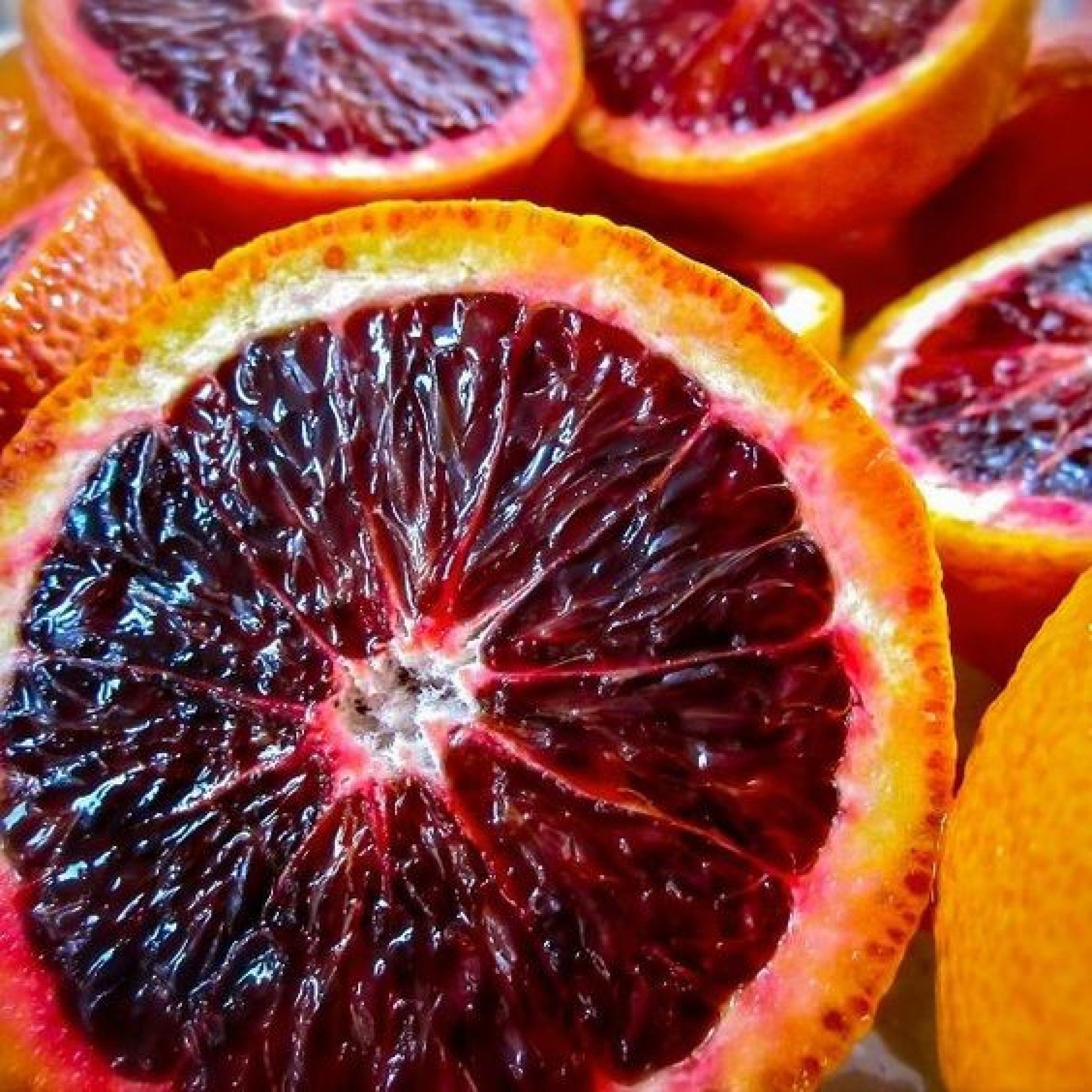 Laranja Moro: os segredos da fruta capaz de melhorar a saúde e promover um peso saudável