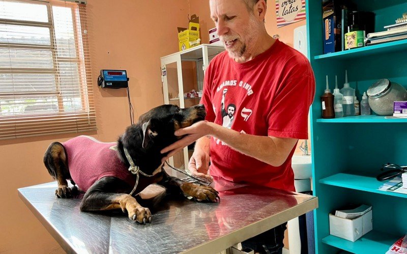 Veterinário, Almeida está cuidando da cachorrinha Mel | Jornal NH