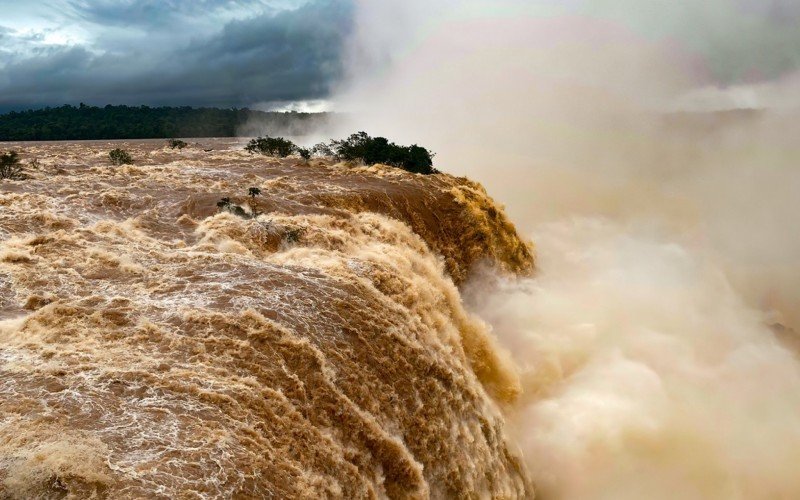 Urbia e ICMBio seguem monitorando a situação do Rio Iguaçu | Jornal NH