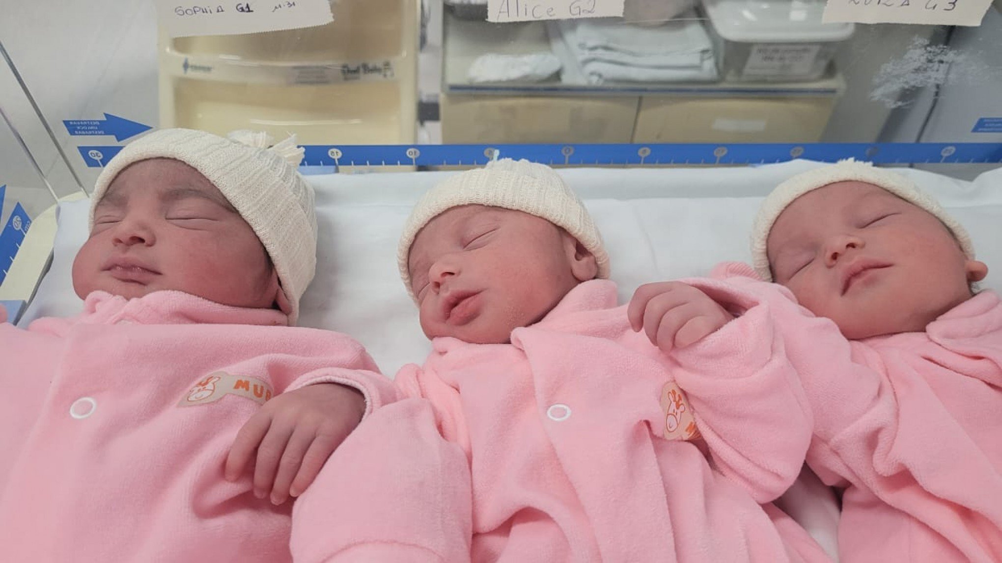 FÁBRICA DE BEBÊS: Hospital de Novo Hamburgo registra quase 2 mil nascimentos em 2023