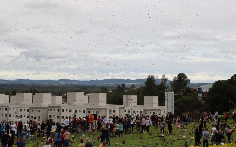 Chuva de pÃ©talas coloriu a manhÃ£